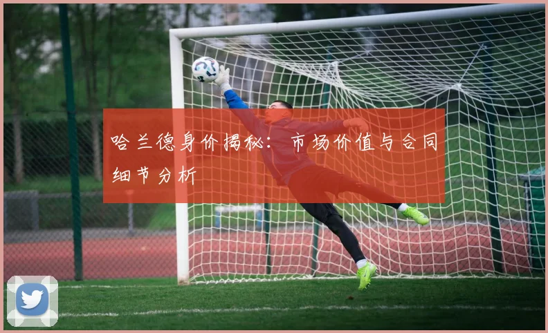 哈兰德身价揭秘：市场价值与合同细节分析