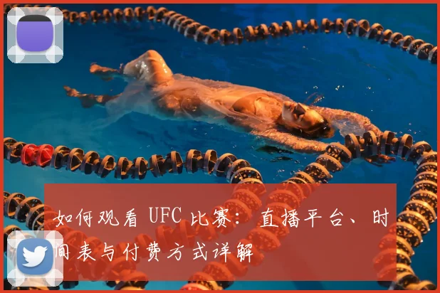 如何观看 UFC 比赛:直播平台、时间表与付费方式详解