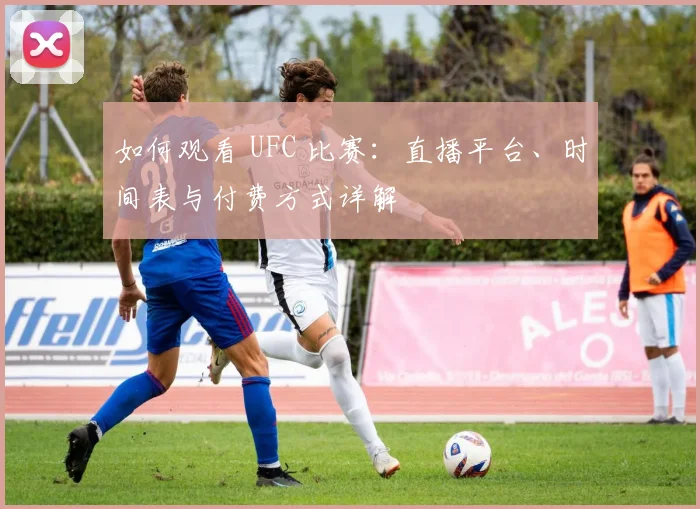 如何观看 UFC 比赛：直播平台、时间表与付费方式详解